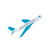 Flight Icon